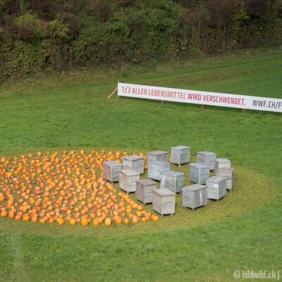 WWF-Foodwaste-Kampagne mit Kürbissen und Müllcontainern entlang der SBB-Hauptverbindung Zürich-Bern mit über 50'000 Passagieren pro Tag. Einzigartig. Wirkungsvoll. Unübersehbar.